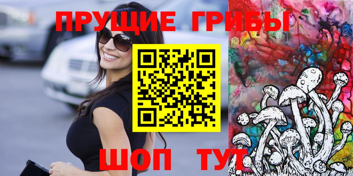 Псилоцибиновые грибы Cubensis Новозыбков