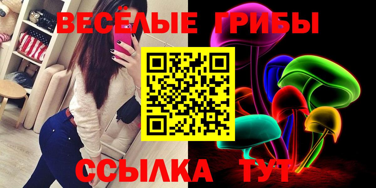 Псилоцибиновые грибы GOLDEN TEACHER  Псилоцибиновые грибы GOLDEN TEACHER  где купить наркотик  Вход с VPN  Новозыбков 